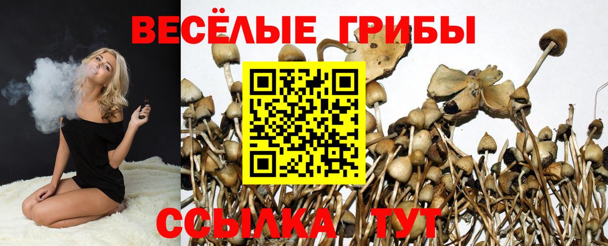 Галлюциногенные грибы MAGIC MUSHROOMS Ступино