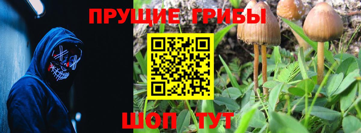 Псилоцибиновые грибы мухоморы  Галлюциногенные грибы Magic Shrooms  Ступино  Вход с VPN 